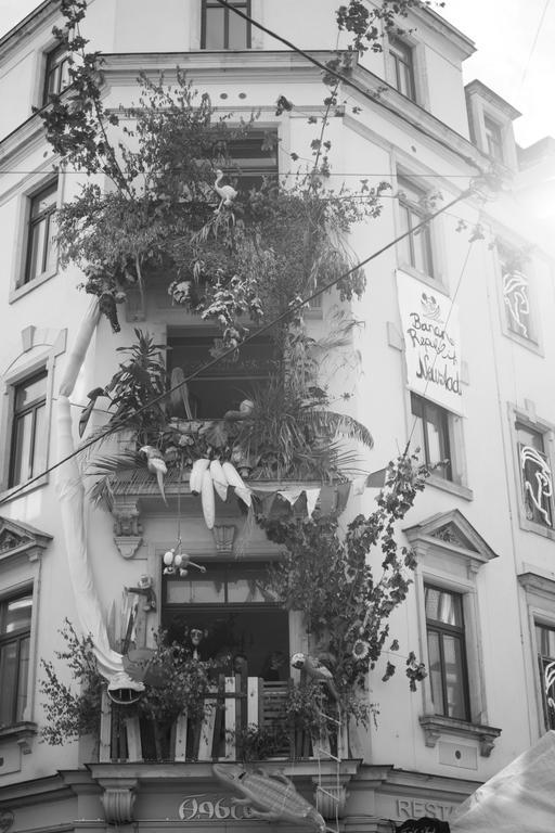 Mirabelle - Wohnen In Der Dresdner Neustadt Dresden Exteriör bild